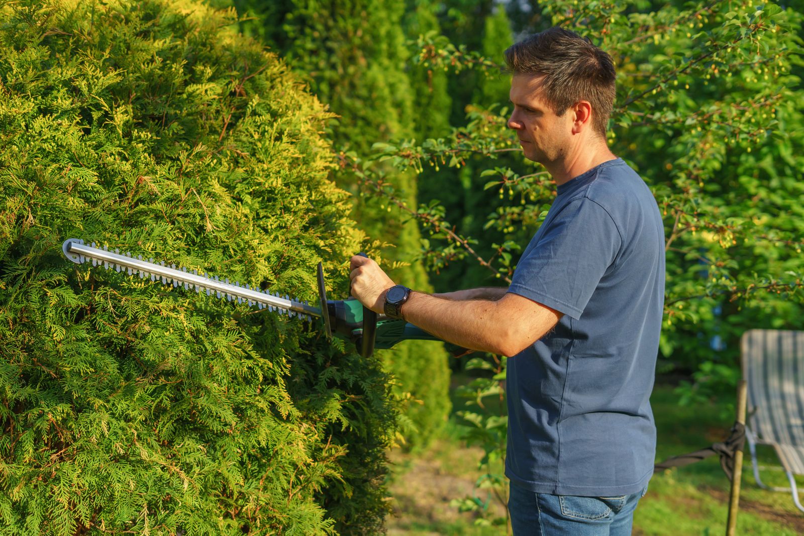 Hedge Trimming & Pruning work 5