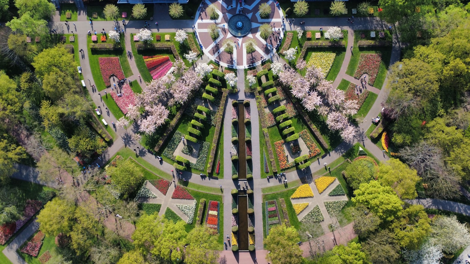 Landscaping & Garden Design