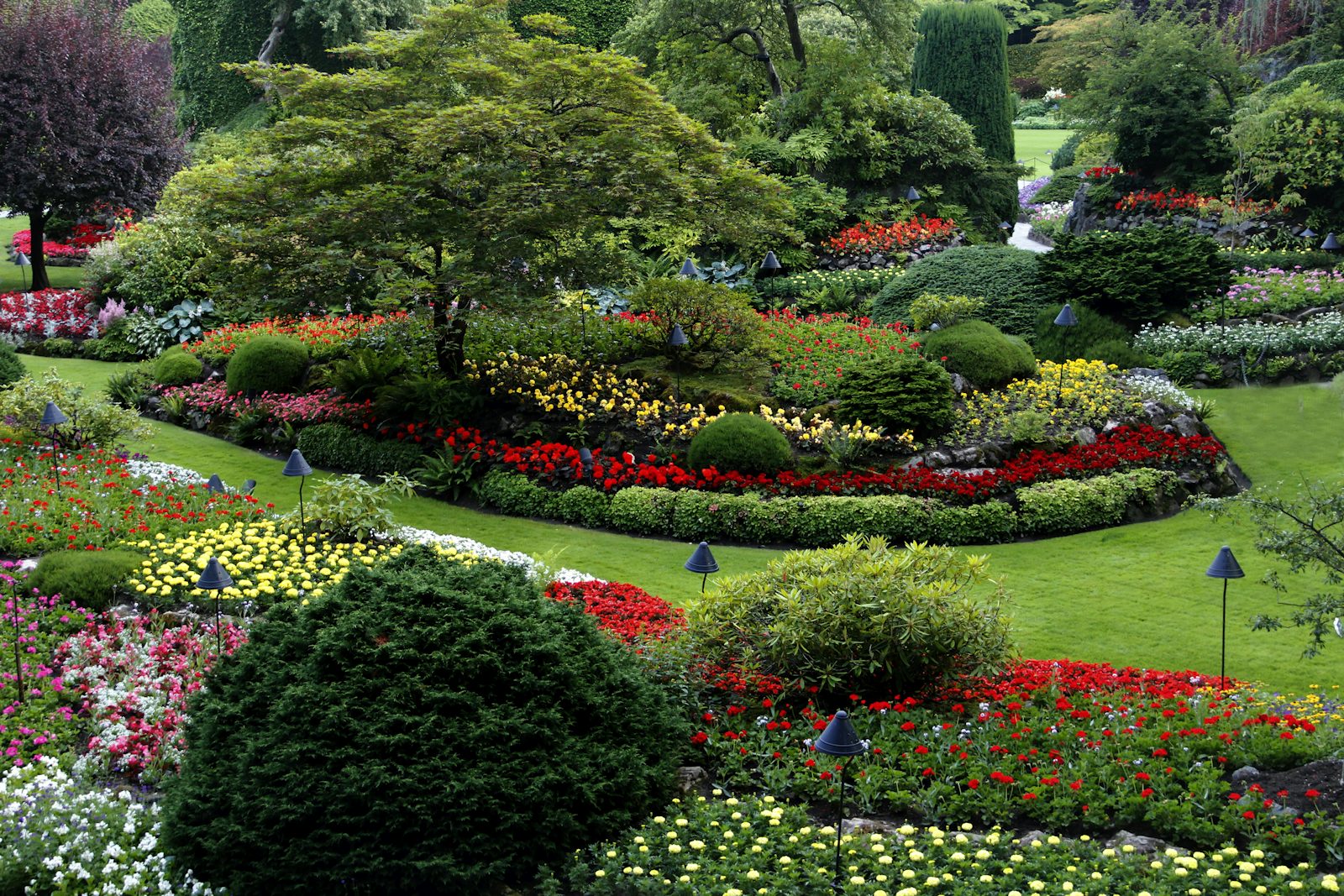 Landscaped garden with patio and borders