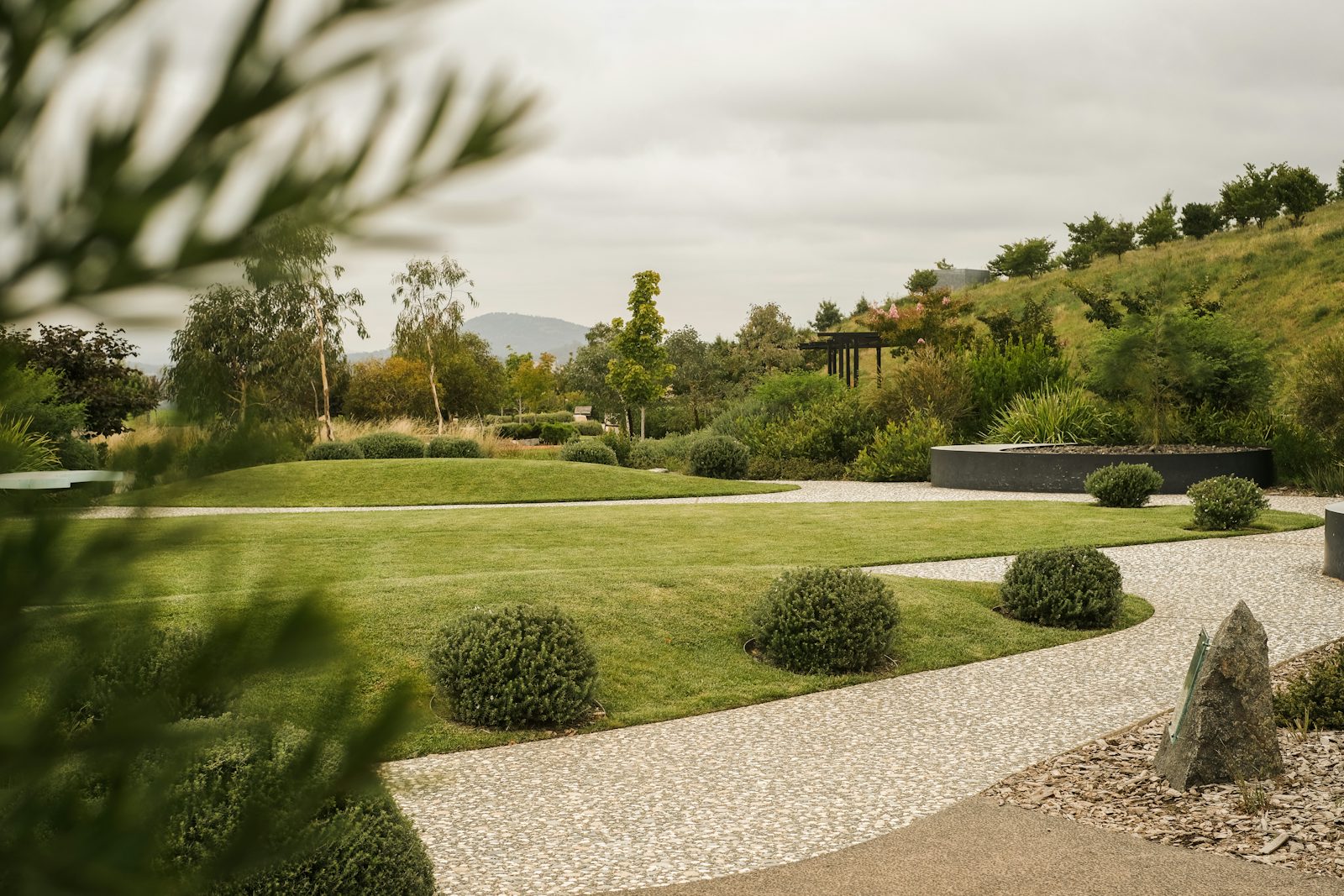 Colourful planting scheme in a designed garden