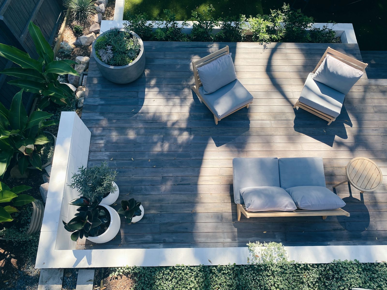 Established garden with mature planting